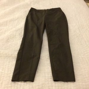 Express columnist olive dress pants